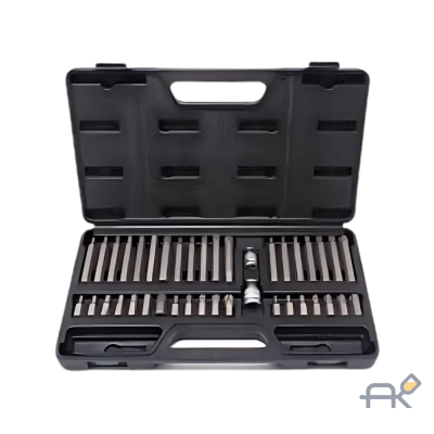 Набор бит с битодержателями 40пр. (10мм)(75/30мм:T20-T55.H4-H12.M5-M12) в пластиковом кейсе (PA-4401)